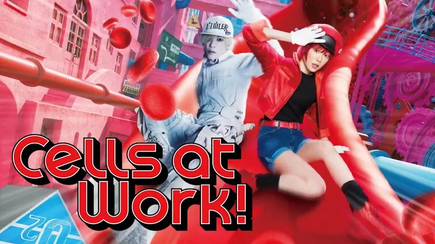 Cells at Work! (2024) Multi Audio English WEB-DL 1080P download
